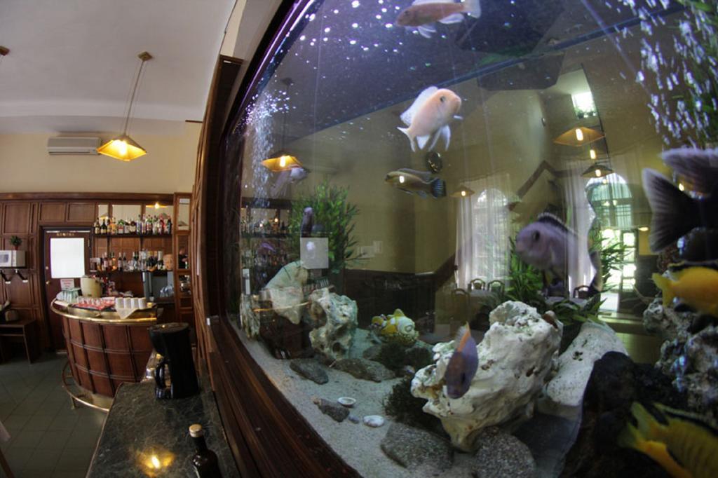Hotel Omnibusz Budapeşte Dış mekan fotoğraf